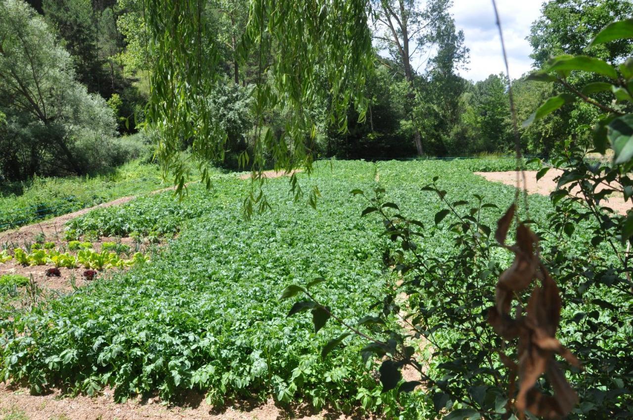 Casa Rural Moli De Fornols 外观 照片